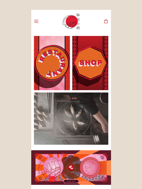 Shopify Website Design