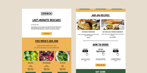 Klaviyo Email Marketing