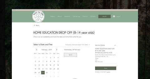 Wix Website Design