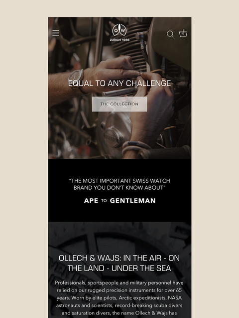 shopify website design
