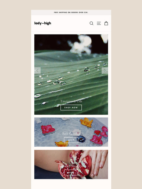 Shopify Website Design