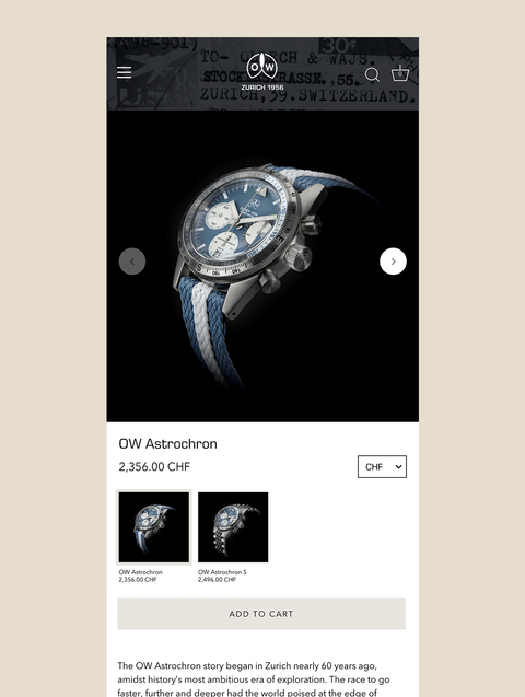 shopify website design