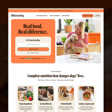 Website page for 'Different Dog' with a woman holding a dog and promotional text.